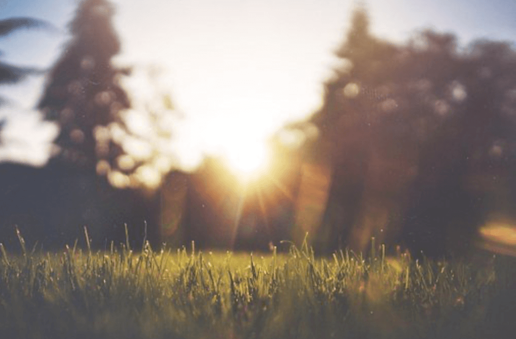 The Importance of Summer Roof Maintenance