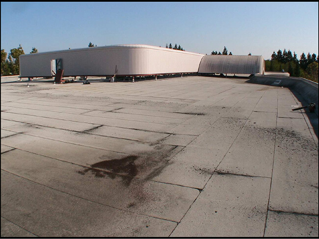 Mountain View Tech Company — Before